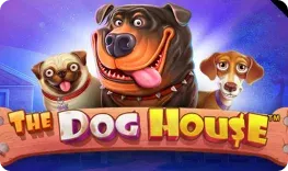 Revolution Casino offre il gioco online The Dog House